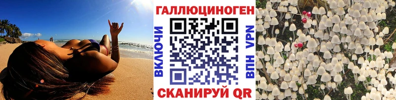 Галлюциногенные грибы GOLDEN TEACHER  Вятские Поляны 
