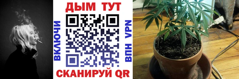 Каннабис White Widow  площадка телеграм  Вятские Поляны 